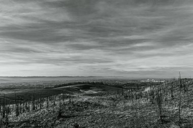 Nehir ve ağacı olan güzel bir manzara.