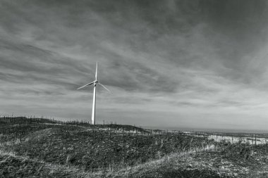 Tarlada rüzgar türbinleri