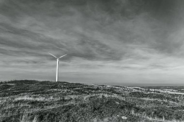 Kırsalda Rüzgar Türbini