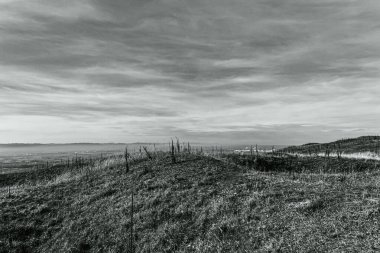 Kuzey Almanya 'da bir plajın siyah beyaz manzarası