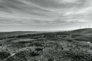 bir dağ manzarasının siyah beyaz fotoğrafı