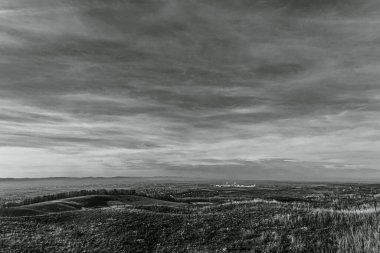 Ağacı ve bulutlu gökyüzü olan güzel bir manzara.