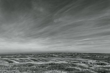 Ağaçlı ve ağaçlı güzel bir manzara.