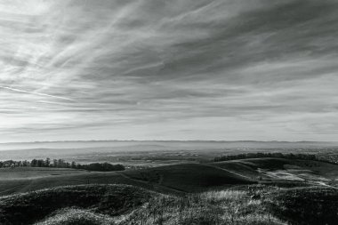Ağaçlarla kaplı güzel bir manzara.
