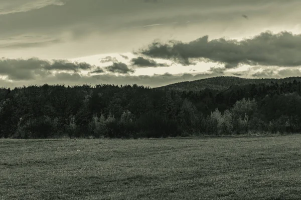 siyah ve beyaz bulutlar ve yeşil çimenler