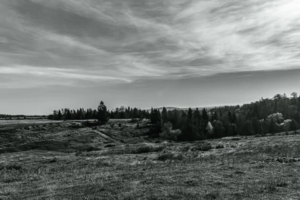 Peyzaj, Orman, Karpatlar, Doğa Fotoğrafları - Avrupa, Doğu Avrupa