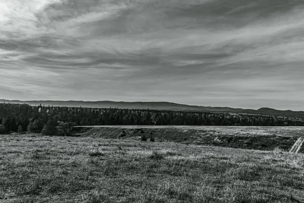 Ağacı ve dağı olan güzel bir manzara.