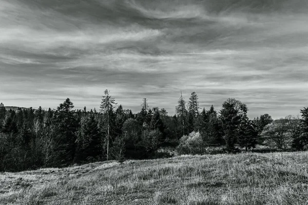 Bulutlu bir gökyüzü ile bir dağın dikey görüntüsü