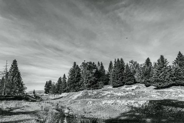 Peyzaj, Orman, Karpatlar, Doğa Fotoğrafları - Avrupa, Doğu Avrupa