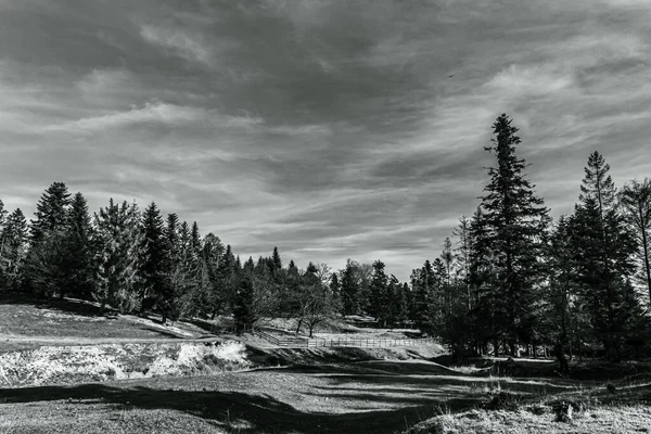 Ağaçlarla çevrili güzel bir dağ manzarası.