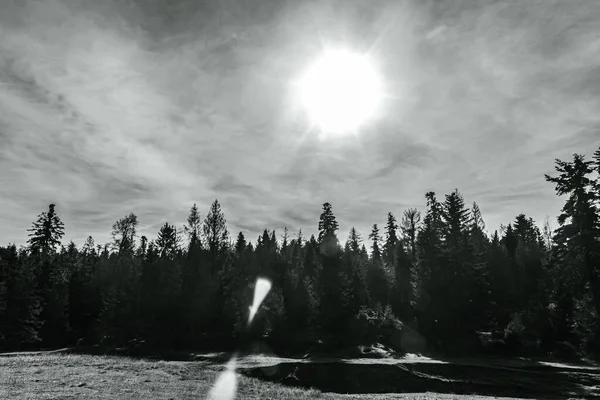 Siyah beyaz kar resmi - kışın tepeli dağlar.