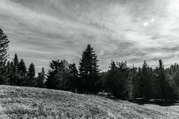 Dağların siyah beyaz görüntüsü