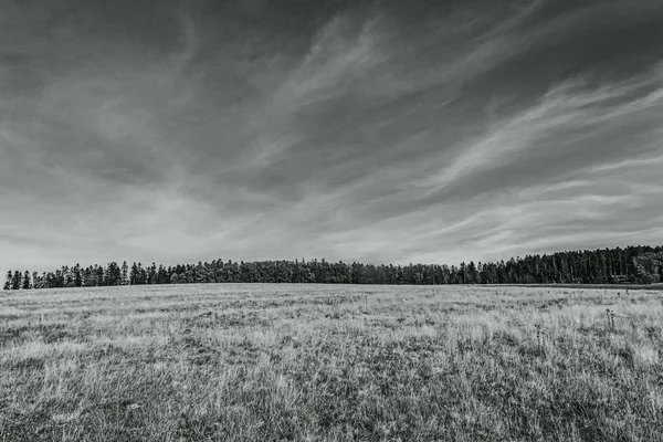 Yeşil alan üzerinde siyah beyaz bulutlar