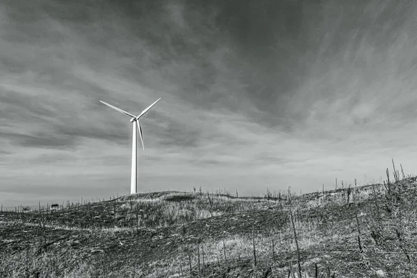 siyah ve beyaz rüzgar türbinleri
