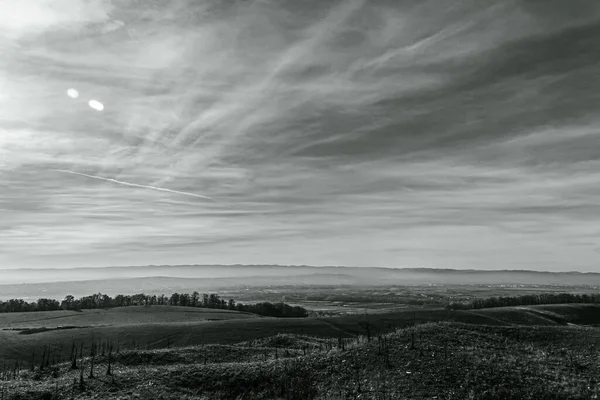 Güzel bir tarlanın siyah ve beyaz manzarası