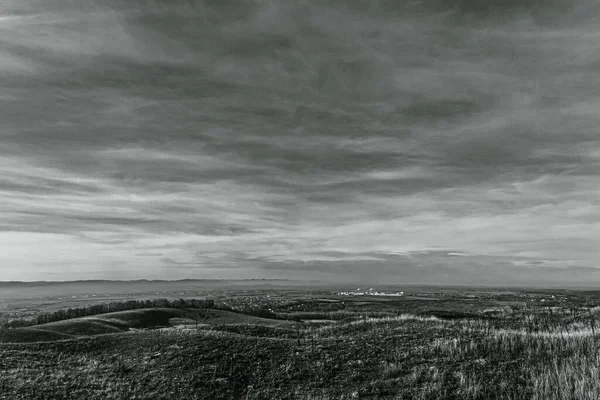 Ağacı ve bulutlu gökyüzü olan güzel bir manzara.