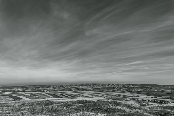 Ağaçlı ve ağaçlı güzel bir manzara.