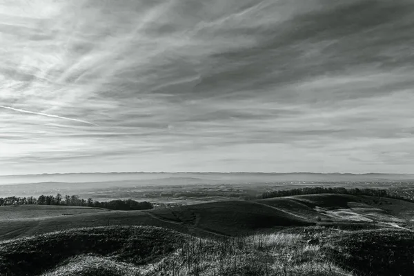 Ağaçlarla kaplı güzel bir manzara.