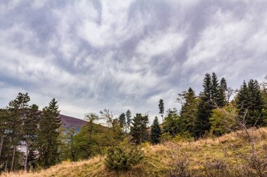 Dağlardaki doğanın güzel manzarası