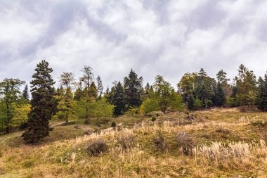 Bulgaristan 'ın Sofya Şehir Bölgesi Vitosha Dağı' nın sonbahar manzarası
