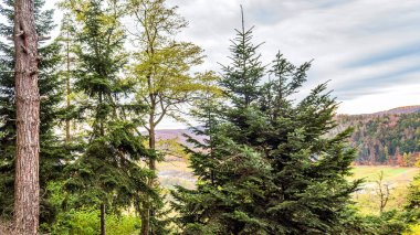 Karpat Dağları 'nın Manzarası