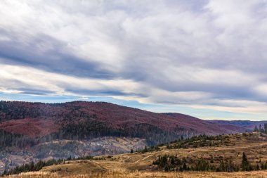 Renkli orman ve dağlarla dolu güzel sonbahar manzarası