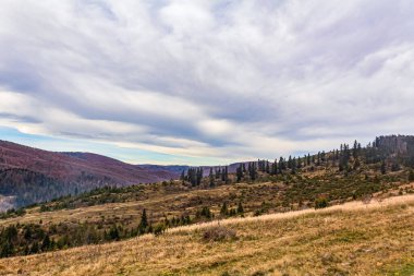 Dağ ormanlarında sonbahar manzarası. Renkli ağaçları olan güzel doğa..