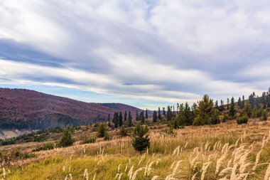 Sonbahar yatay, dağ ve orman
