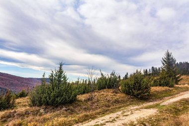 Ağaçlar ve dağlarla dolu sonbahar manzarası