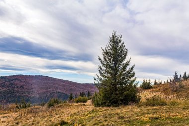 Karpat dağlarında sonbahar