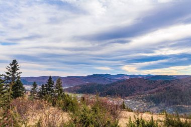 Önünde bulutlar ve orman olan bir dağ manzarası. Dağlarda sonbahar manzarası, Ukrayna.