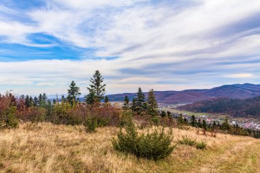 Karpatlar sonbahar manzara.