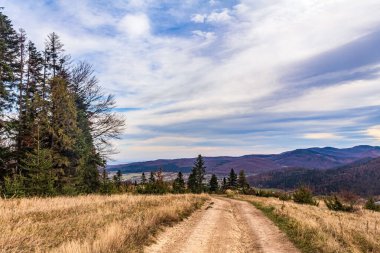 Karpat Dağları 'ndaki sonbahar ormanlarında bir yol.