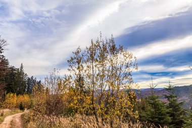 Karpatlar sonbaharda.