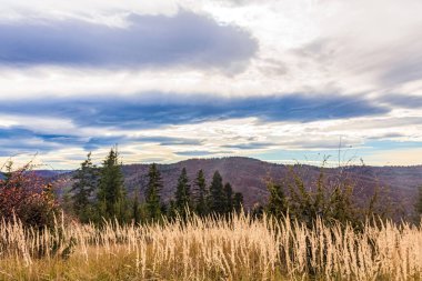 Dağlarda sonbahar. Renkli sonbahar manzarası.