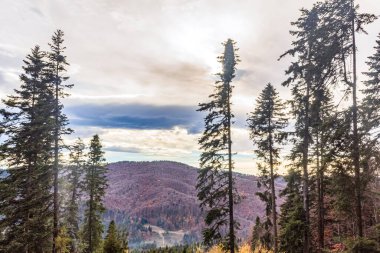 Karpat Dağlarının sonbahar manzarası