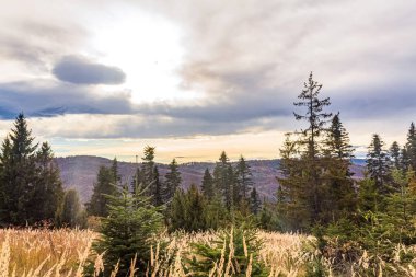 Sonbaharda güneş bir dağda ışıldar.