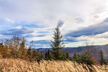 Colorado, ABD 'deki sıradağların manzarası..