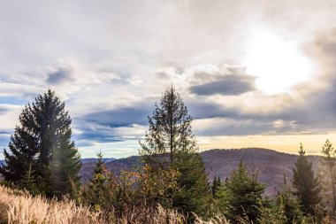 Ağaçlar ve dağlarla dolu sonbahar manzarası