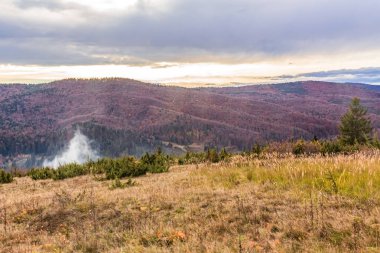 Güzel sonbahar manzarası Karpatlar 'da bir dağ, Ukrayna