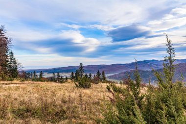 Sonbahar mevsiminde Karpat Dağları 'nın güzel manzarası