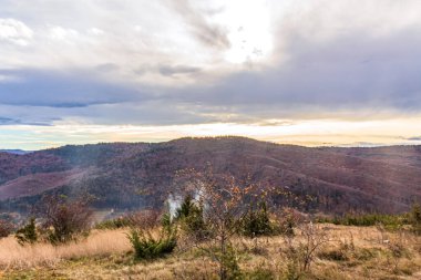 Romanya 'nın Karpatya dağlarındaki sonbahar ormanının güzel bir görüntüsü.