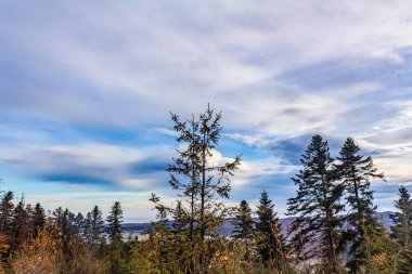 Doğanın güzel manzarası