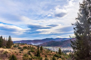 güzel dağ manzarası ile orman