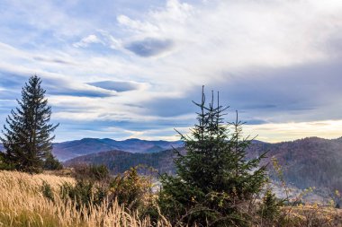 Karpatlarda sonbahar renkleri ve dağlar