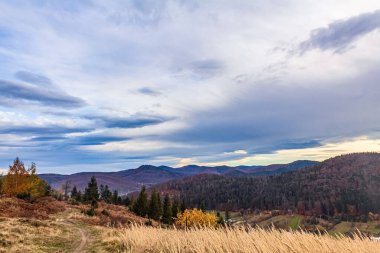 Sonbahar dağ manzarası. Karpatlar, Ukrayna