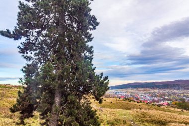 Şili 'deki San Pedro de Atakama şehrinin panoramik görüntüsü