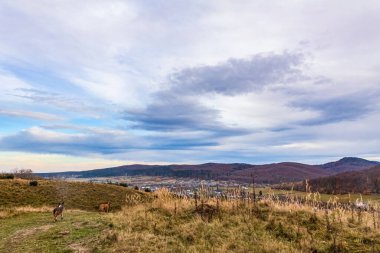 Bir dağ ve güzel bir ormanla sonbahar manzarası