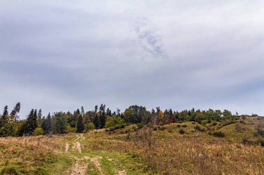 Nehir ve gölü olan güzel bir manzara.