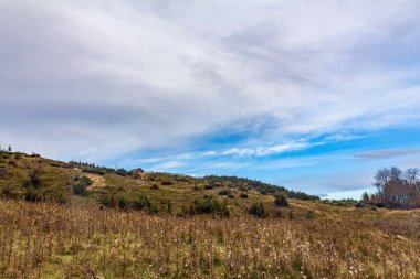 Arkasında bir dağ olan güzel bir manzara.